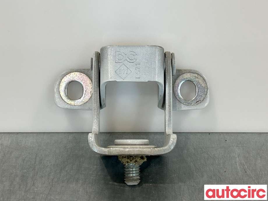 Hengsler til Renault Zoe, 2013-2019 (Fase 1) (RENAULT|844003028R)