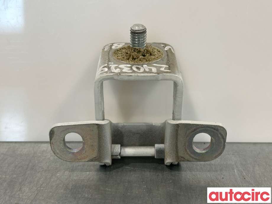 Hengsler til Renault Zoe 2013-2019 (Fase 1)  (RENAULT|844003028R|)
