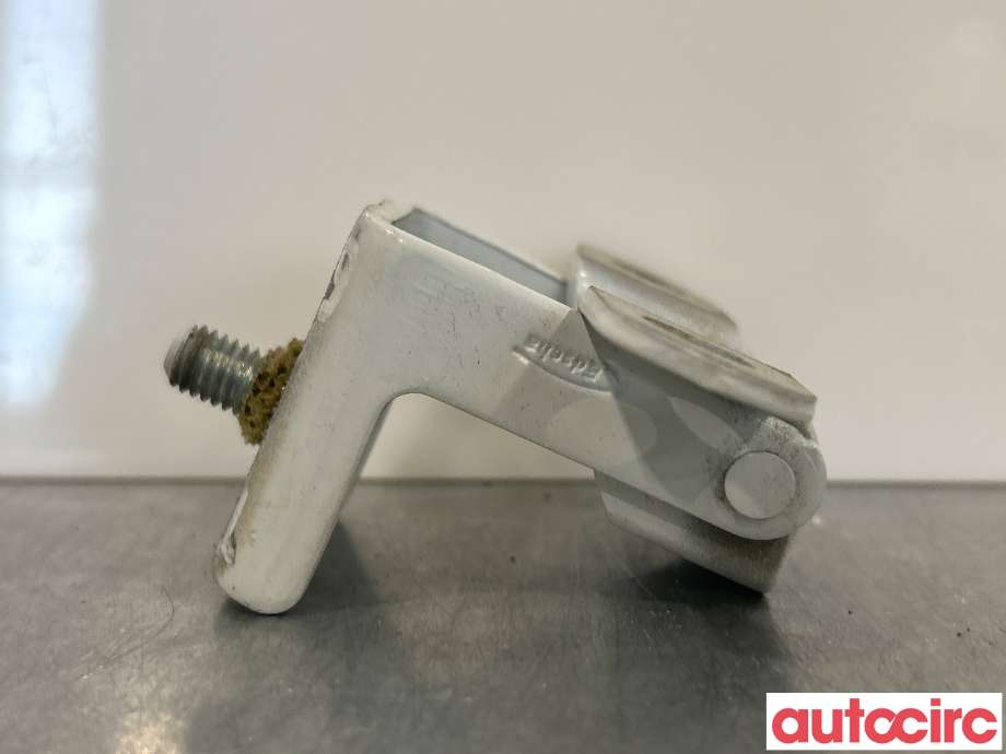 Hengsler til Renault Zoe 2013-2019 (Fase 1)  (RENAULT|844003028R|)