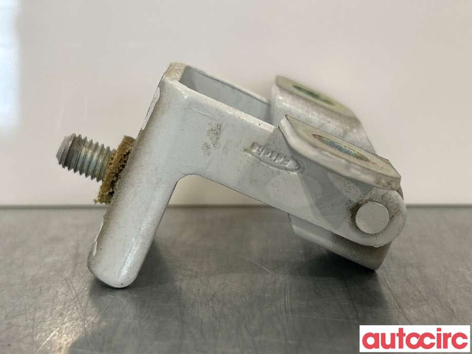 Hengsler til Renault Zoe 2013-2019 (Fase 1)  (RENAULT|844003028R|)