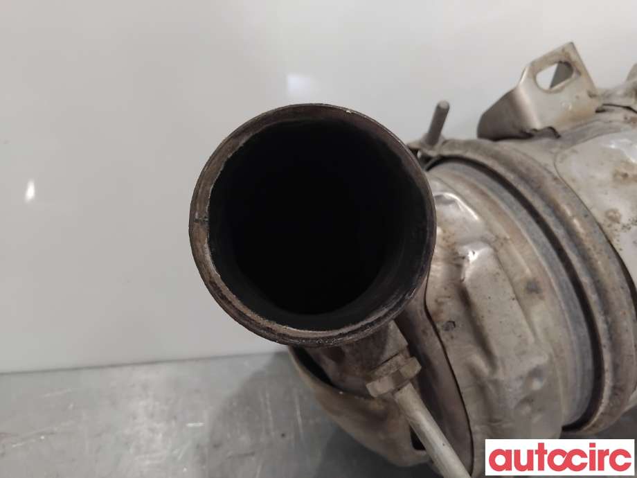 Partikkelfilter til Peugeot 4008 2012-2017  (PEUGEOT|174067|TRPSAK635|9876883680)