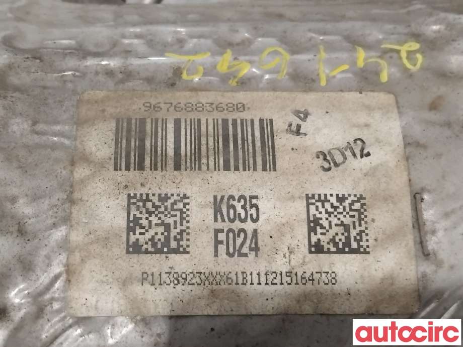 Partikkelfilter til Peugeot 4008 2012-2017  (PEUGEOT|174067|TRPSAK635|9876883680)