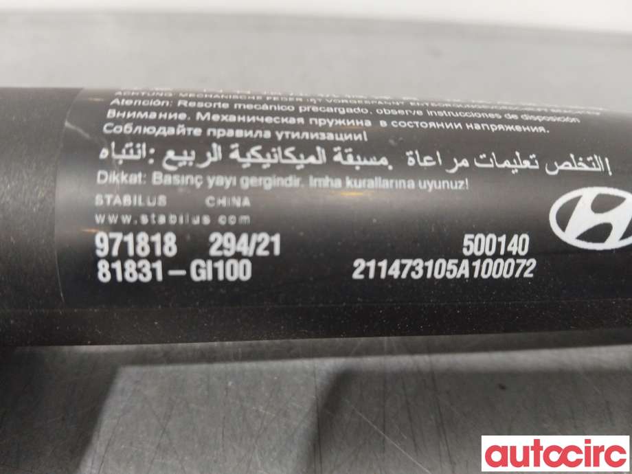 Baklukeåpner motor til Hyundai Ioniq 5 2021-->>  (HYUNDAI|81831GI100|81831-GI100)