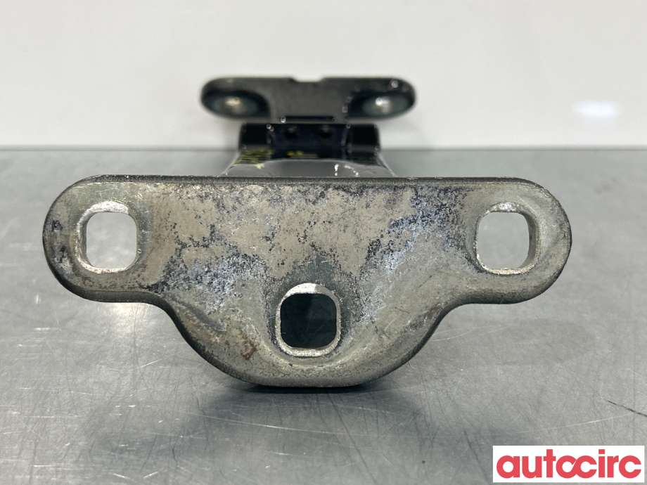 Hengsler til Ford Transit Connect 2018-->> Type II, Fase 2  (FORD|2168175||DT11-V42982-AD)