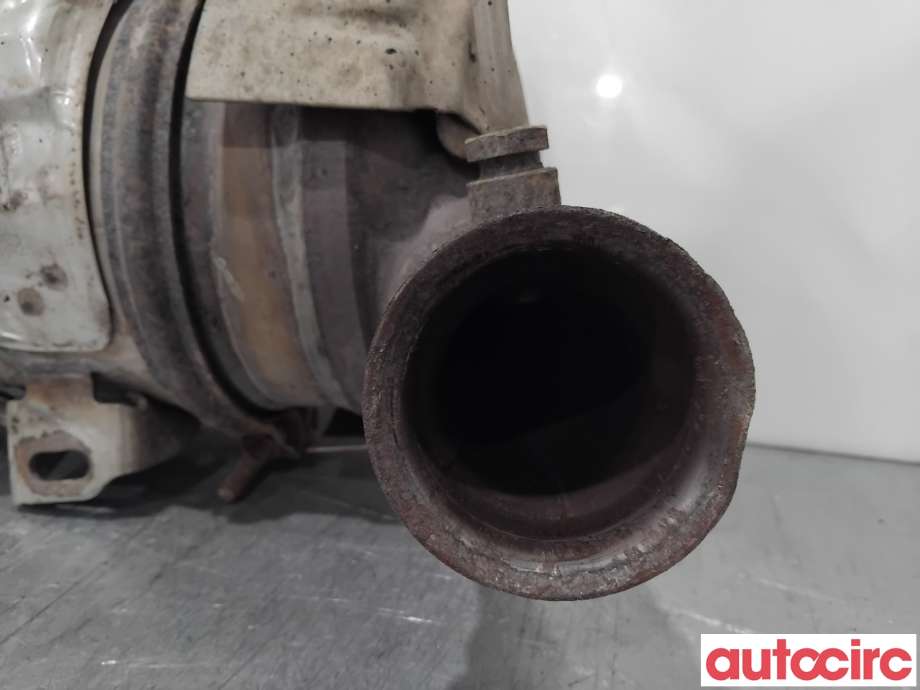 Partikkelfilter til Citroën Berlingo 2008-2015 (Type II, Fase 1)  (CITROEN|1609531880|TRPSAK685|1609532780)