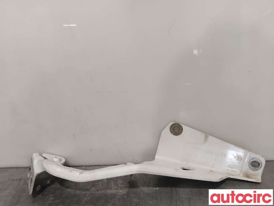 Panserhengsler til Renault Kangoo 2008-2021 (Type II)  (RENAULT|654013136R|A4158800028|)