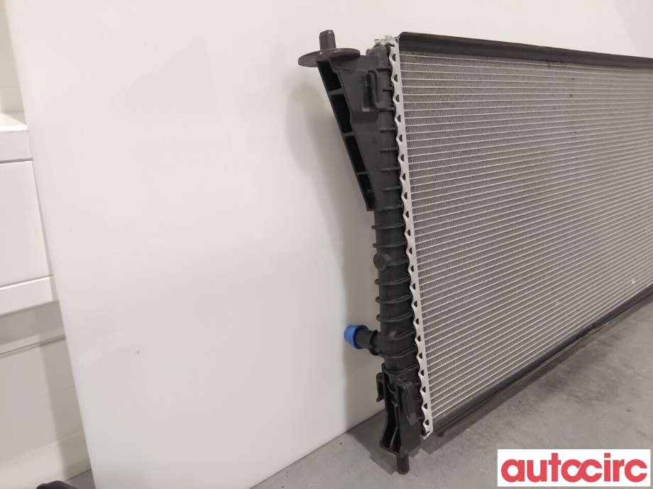 Radiator (automat gir) til Ford Mustang Mach-e 2020-->>  (FORD (US)|2483153||LJ93-8D048-AE)