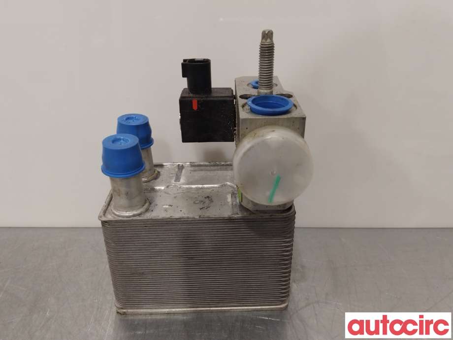 Diverse deler til Ford Mustang Mach-e 2020-->>  (FORD (US)|2487212|LJ9H-10C708-AE)