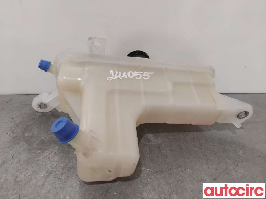 Ekspansjonstank til Toyota RAV4 2013-2015 (Type IV, Fase 1)  (TOYOTA|1647026122|)