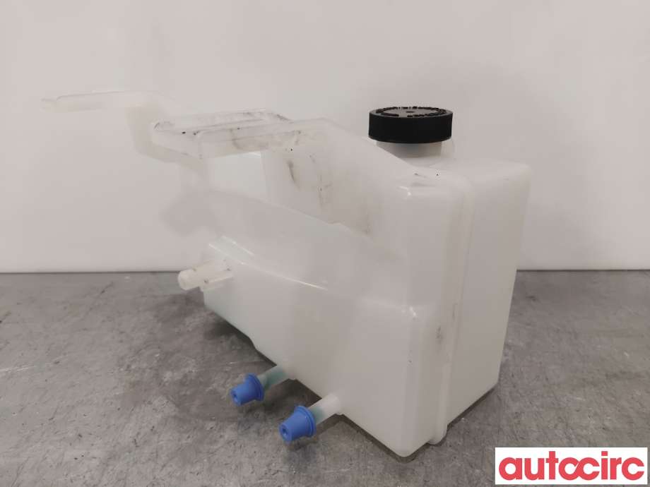 Ekspansjonstank til Nissan Leaf 2011-2017 (Type I)  (NISSAN|217103NL0A|)
