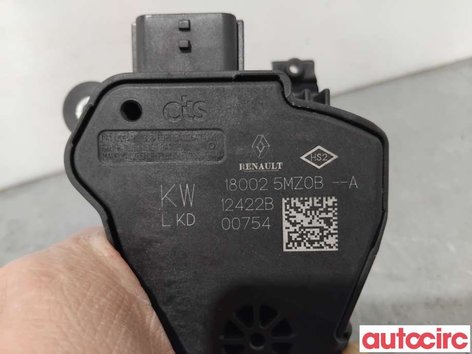 Pedal gass til Renault Megane 2016-->> Type IV  (RENAULT|180025MZ0B|)