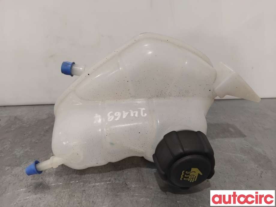 Ekspansjonstank til Nissan Qashqai 2014-2021 (Type II)  (NISSAN|217114EA0A|)