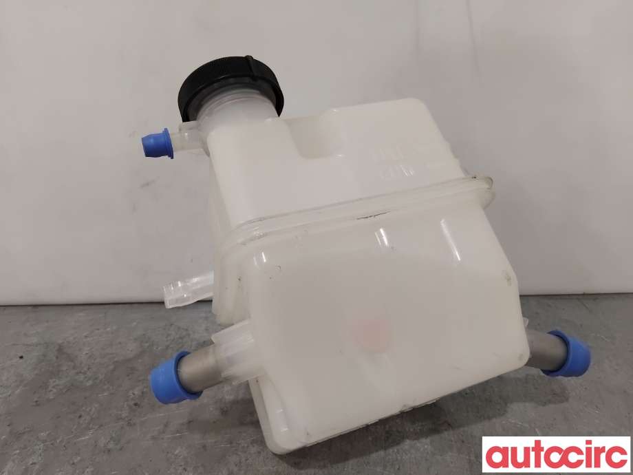 Ekspansjonstank til Toyota RAV4 2016-2019 (Type IV, Fase 2)  (TOYOTA|G910F48012|)