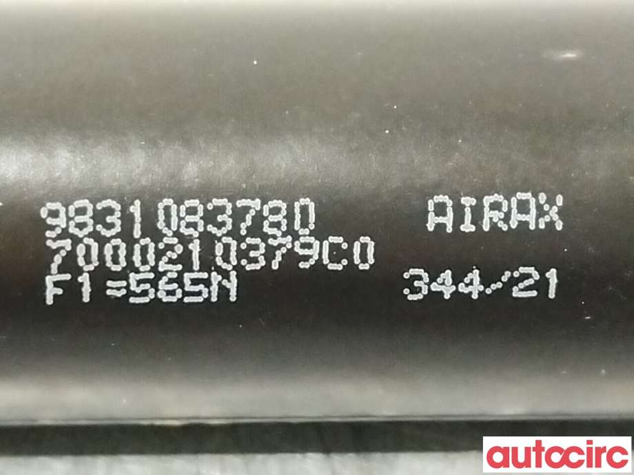 Baklukedemper til Citroën C4, Spacetourer 2019-->> (CITROEN|9831083780)