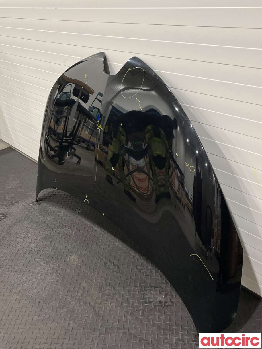 Panser til Renault Zoe 2013-2019 (Fase 1)  (RENAULT|651004516R)