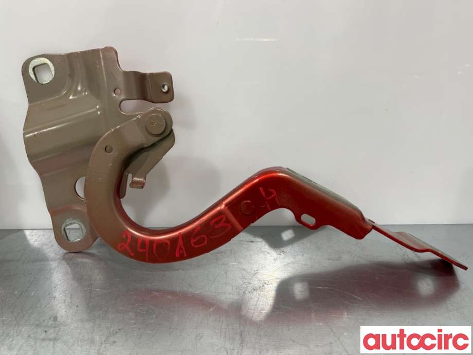 Panserhengsler til Renault Zoe 2013-2019 (Fase 1)  (RENAULT|654004793R||654009955R)