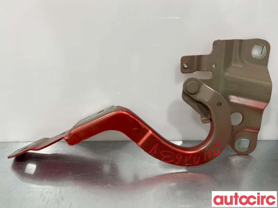 Panserhengsler til Renault Zoe 2013-2019 (Fase 1)  (RENAULT|654004793R||654009955R)