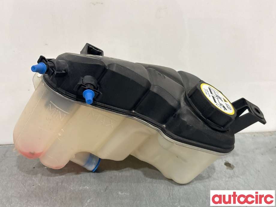 Ekspansjonstank til Ford Mondeo 2011-2014 (Type IV, Fase 2)  (FORD|1460978|6G91-8K218-D2L4A)