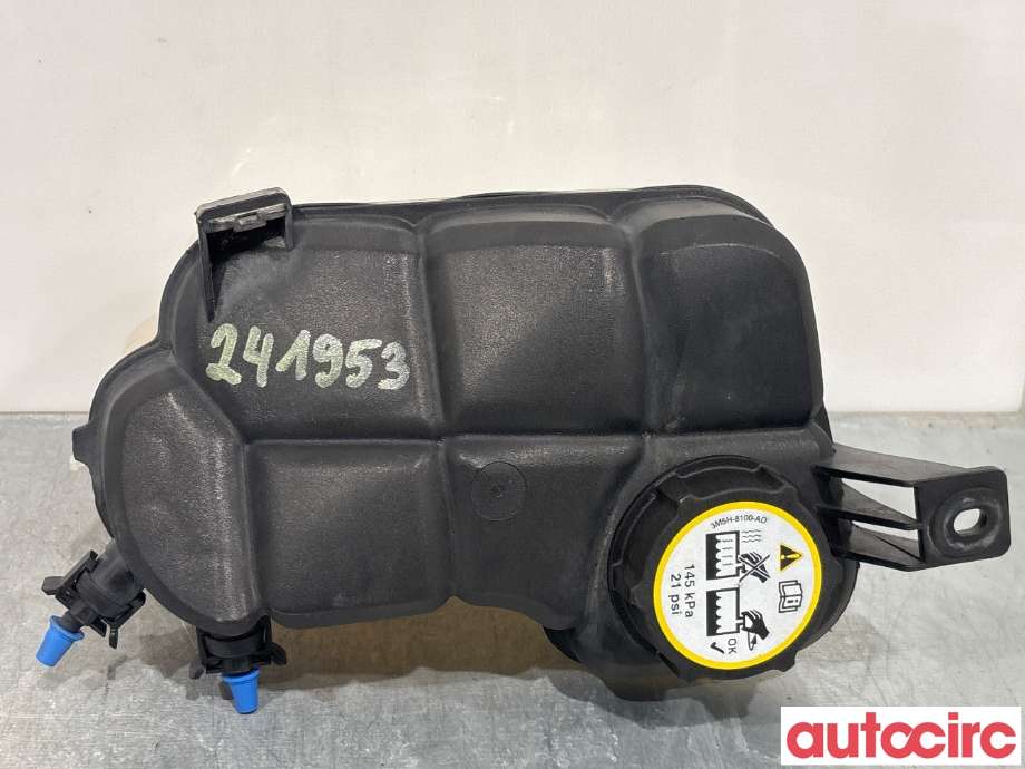 Ekspansjonstank til Ford Mondeo 2011-2014 (Type IV, Fase 2)  (FORD|1460978|6G91-8K218-D2L4A)