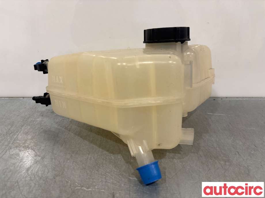 Ekspansjonstank til Ford Fiesta 2008-2012 (Type VI, Fase 1)  (FORD|1504818||8V21-8K218BB)