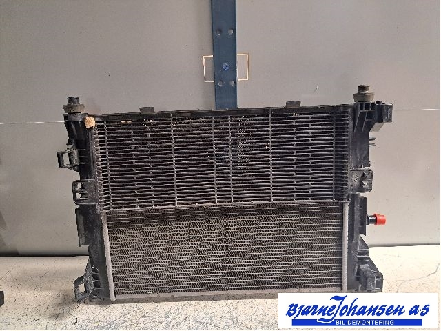 Radiator (automat gir) til Renault Zoe 2013-2019 (Fase 1)  (RENAULT|214104950R|)