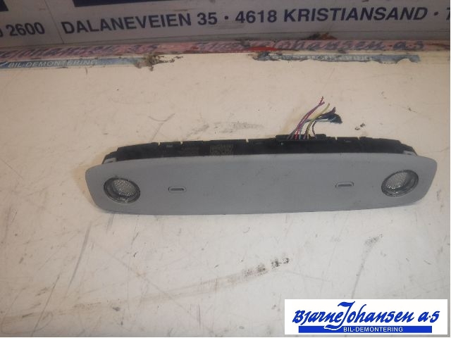 Taklyspanel til Tesla Model 3, 2018-2023 (Fase 1) (TESLA|109257400C)