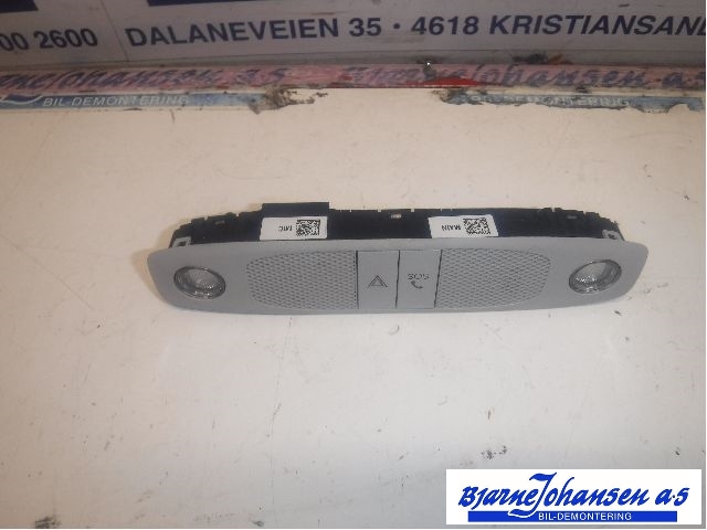 Taklyspanel til Tesla Model 3, 2018-2023 (Fase 1) (TESLA|109257200C)