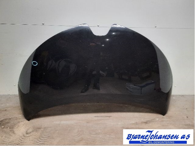 Panser til Renault Zoe 2013-2019 (Fase 1) (RENAULT|651004516R|)