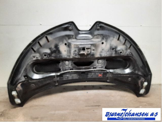 Panser til Renault Zoe 2013-2019 (Fase 1) (RENAULT|651004516R|)