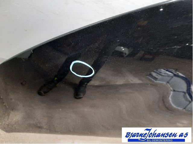 Panser til Renault Zoe 2013-2019 (Fase 1) (RENAULT|651004516R|)