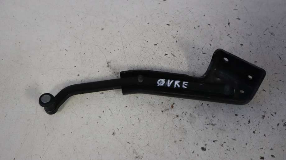 Hengsler til Fiat Doblo, 2010-->> (Type II)  (FIAT|52044487)