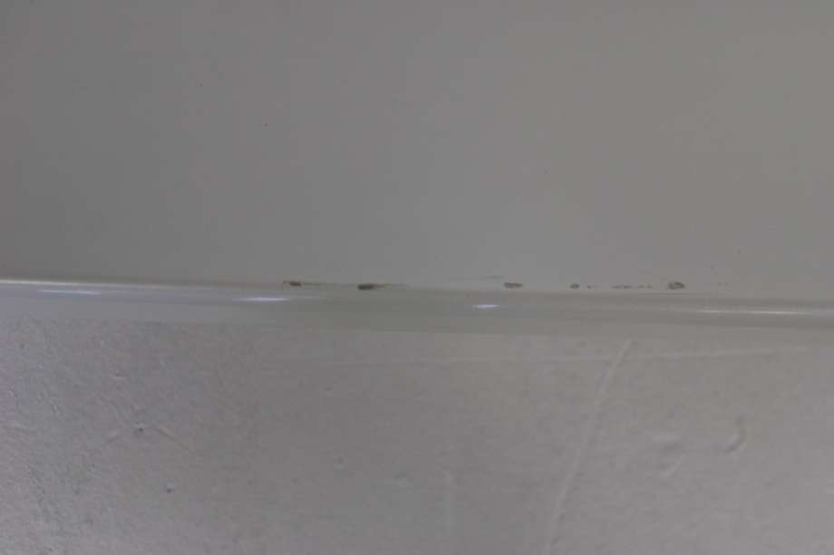 Spoiler bakluke til Toyota RAV4 2009-2013 (Type III, Fase 2)  (TOYOTA|7608542901A1|7608542905|)