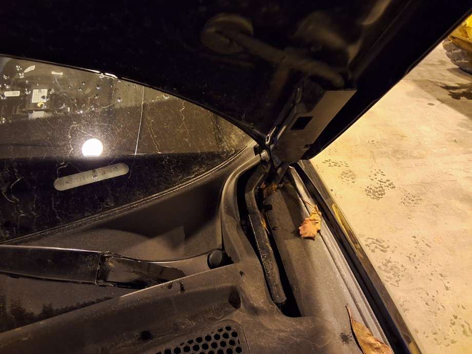 Panserhengsler til Audi A3, 2012-2016 (Type III, Fase 1)  (AUDI|8V0 823 301 F)