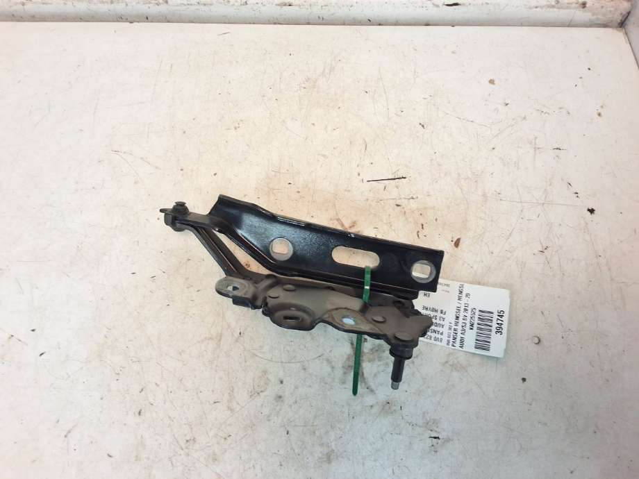 Panserhengsler til Audi A3 2012-2016 (Type III, Fase 1)  (AUDI|8V0 823 302 F|)