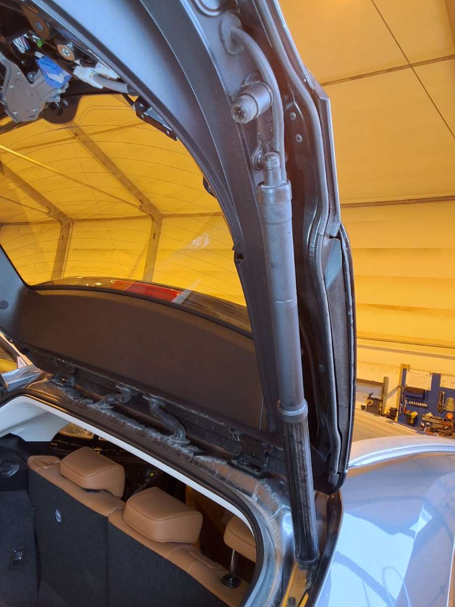 Baklukedemper til Lexus UX 2018-->> (LEXUS|6891076010|)