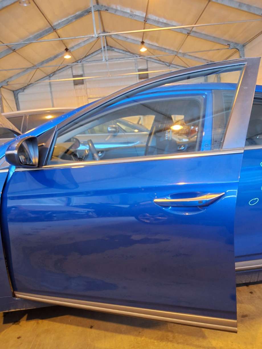 Dør venstre foran til Hyundai Ioniq Electric, 2016-2019 (Fase 1) (HYUNDAI|)