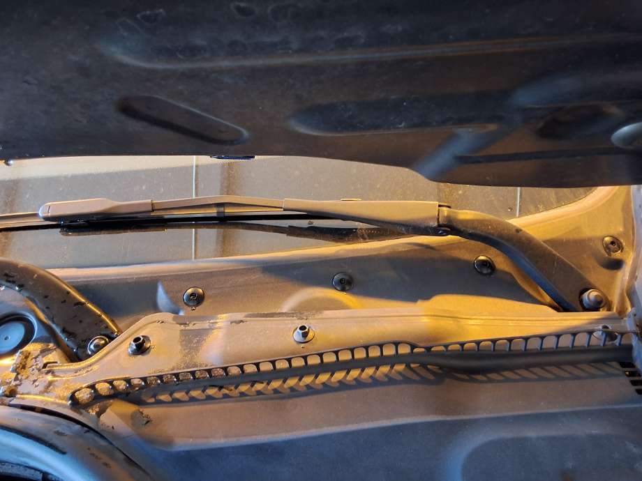 Viskerarmer frontrute til BMW 4-Serie, 2013-2020 (F32/F33/F36) (F32/F33/F36) (BMW|)