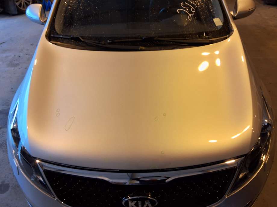 Panser til Kia Sportage, 2010-2016 (Type III)  (KIA|)