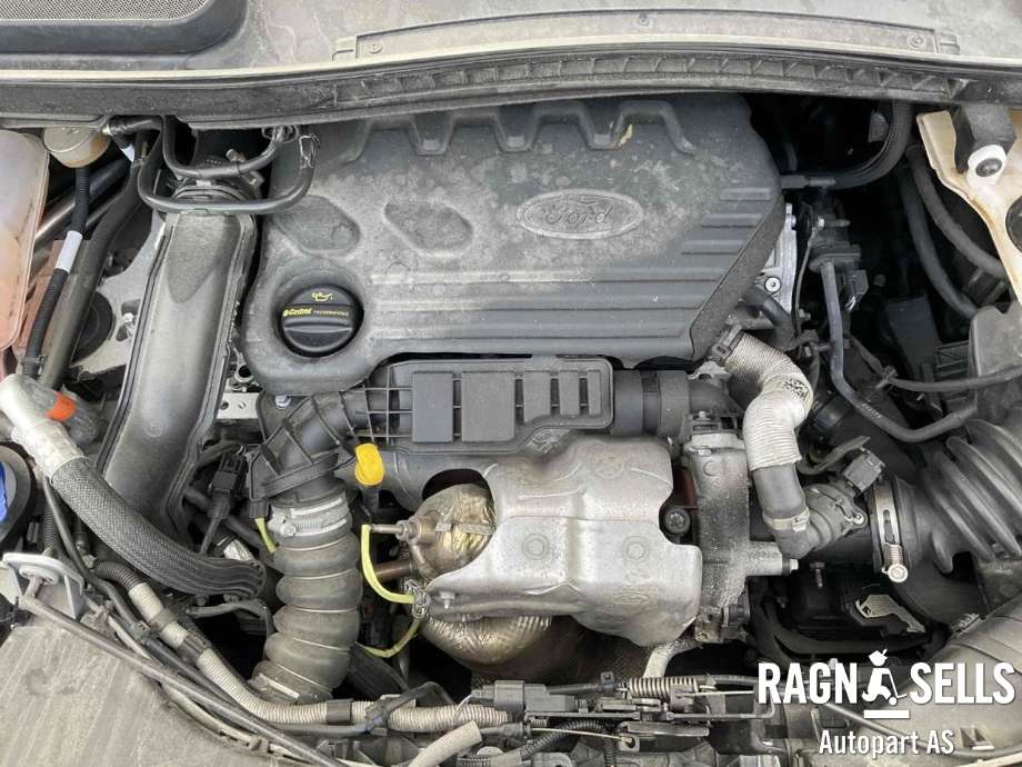 Ford Transit Connect 2018-->> Type II, Fase 2 , Motorkode: ZTGA, Girkassekode: 