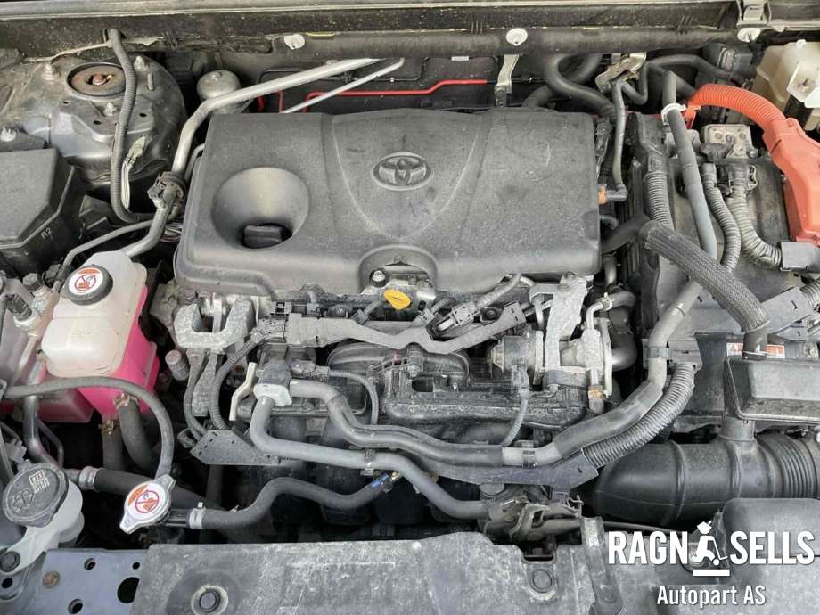 Toyota RAV4 2019-->> (Type V) , Motorkode: A25A-FXS|3NM|4NM, Girkassekode: 