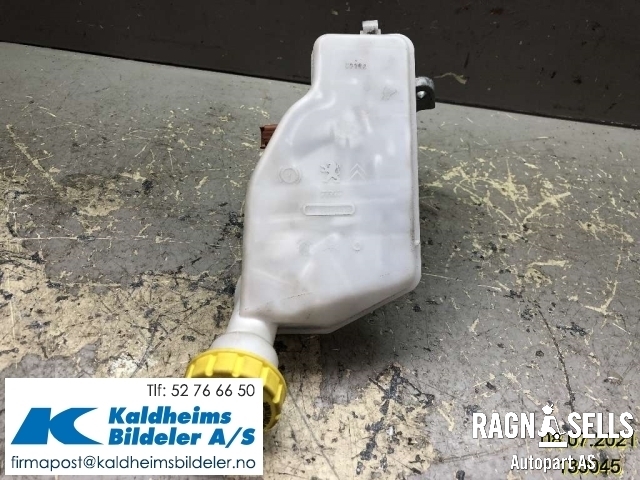 Bremsepumpe hoved til Peugeot 208 2012-2019 (Type I)  (32069745|4601 R9)