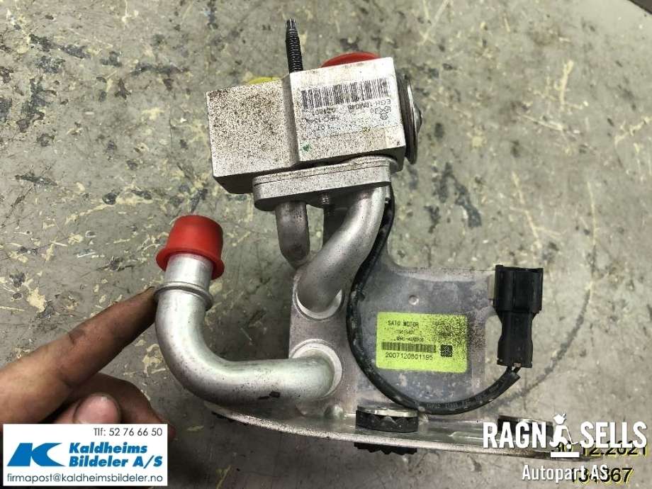 Kullfilter (boks) til MG ZS EV 2019-2021 (Type I, Fase 1)  (10576401|EGH10M045|2007120501195)