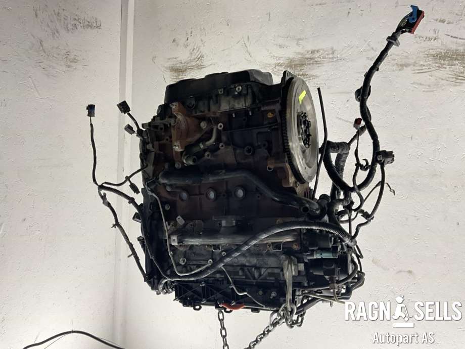 Motor diesel til Ford Focus 2011-2014 (Type III, Fase 1)  (1838469|9M5Q-6006-BD|)