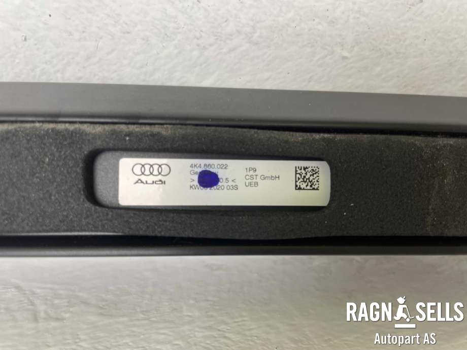 Takrails til Audi e-tron 2018-->> (4K4860022|)