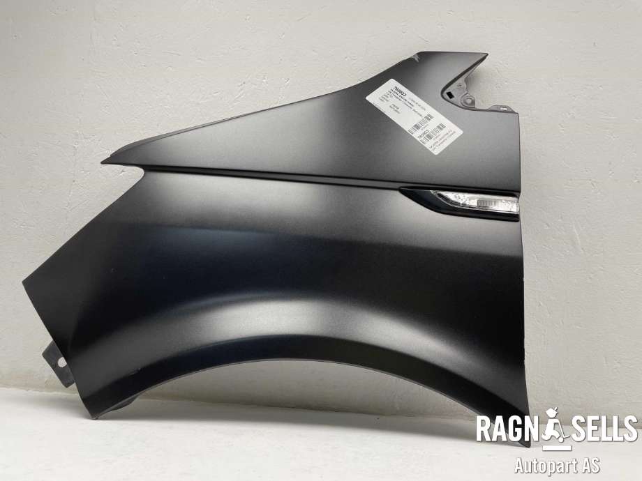 Skjerm venstre foran til VW Transporter / Caravelle 2003-2009 (Fase 1) (T5) (T5) (7E0 821 101 A|7E0 821 101 B|)
