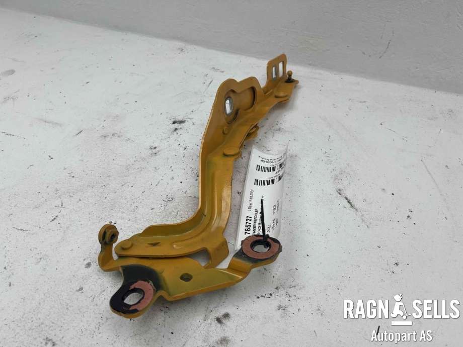 Panserhengsler til Ford Mustang Mach-e 2020-->>  (LJ8B-R16C965-AE|)