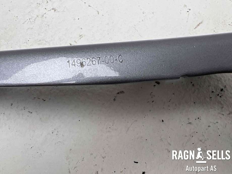 Panserhengsler til Tesla Model Y 2021-2024 (Type I)  (1496267-00-C|)