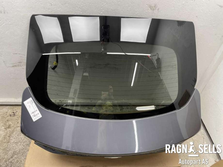 Bakluke combi til Hyundai Ioniq Electric 2019-->> (Fase 2)  (73700G2000|)