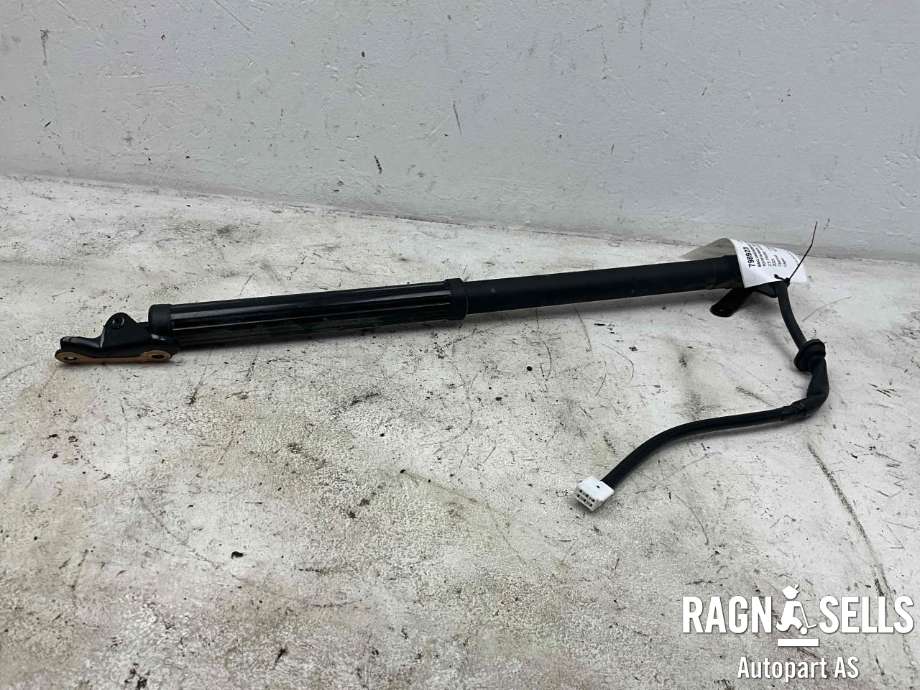 Baklukedemper høyre til Toyota RAV4 2019-->> (Type V) (6891042060|)