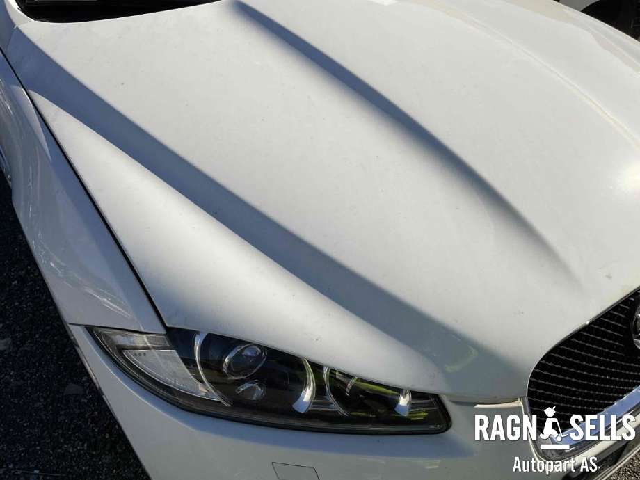 Panser til Jaguar XF 2008-2015 (X250) (X250) (C2Z12813|CX2316612AG|C2Z29968|CX2316612AH)